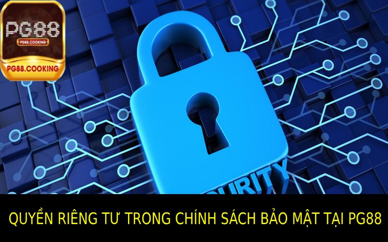 Chính Sách Quyền Riêng Tư Toàn Diện Của Pg88