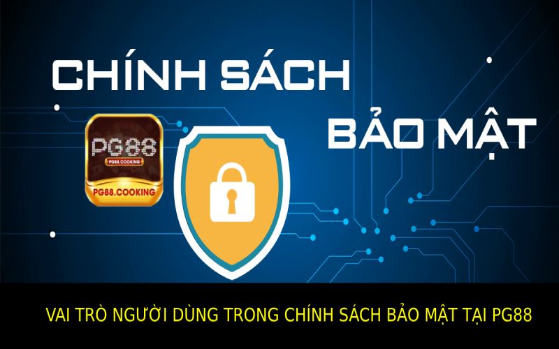 Vai Trò Của Người Dùng Trong Bảo Mật Thông Tin Tại Pg88